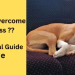 How to Overcome Laziness?